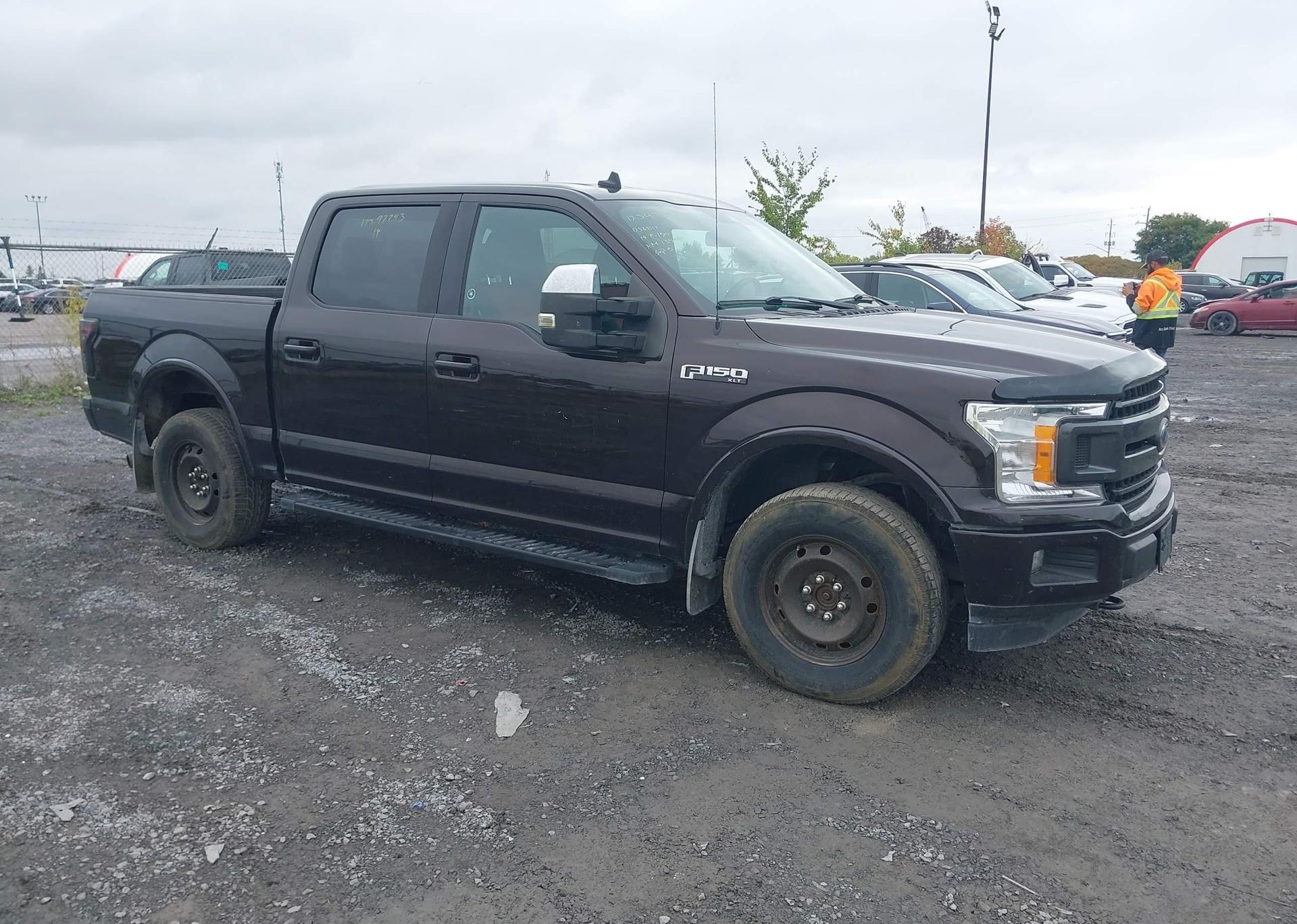 2019 FORD F-150 XLT