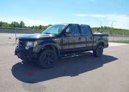 2013 FORD F-150 FX4