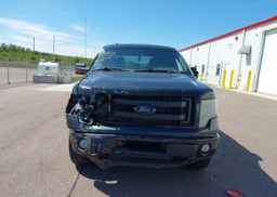 2013 FORD F-150 FX4