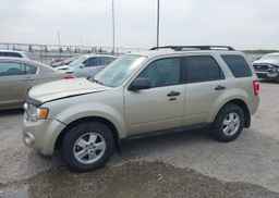 2011 FORD ESCAPE XLT
