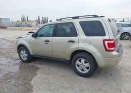 2011 FORD ESCAPE XLT