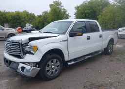 2010 FORD F-150