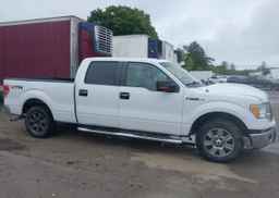 2010 FORD F-150