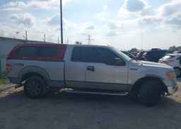 2010 FORD F-150 XLT