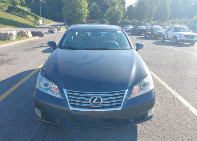 2010 LEXUS ES 350