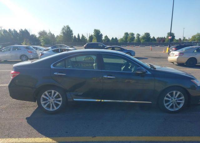 2010 LEXUS ES 350