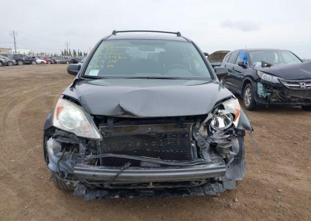 2010 HONDA CR-V LX