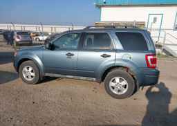 2011 FORD ESCAPE XLT