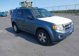 2010 FORD ESCAPE XLT AUTOMATIC