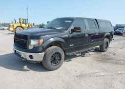 2013 FORD F-150 XLT