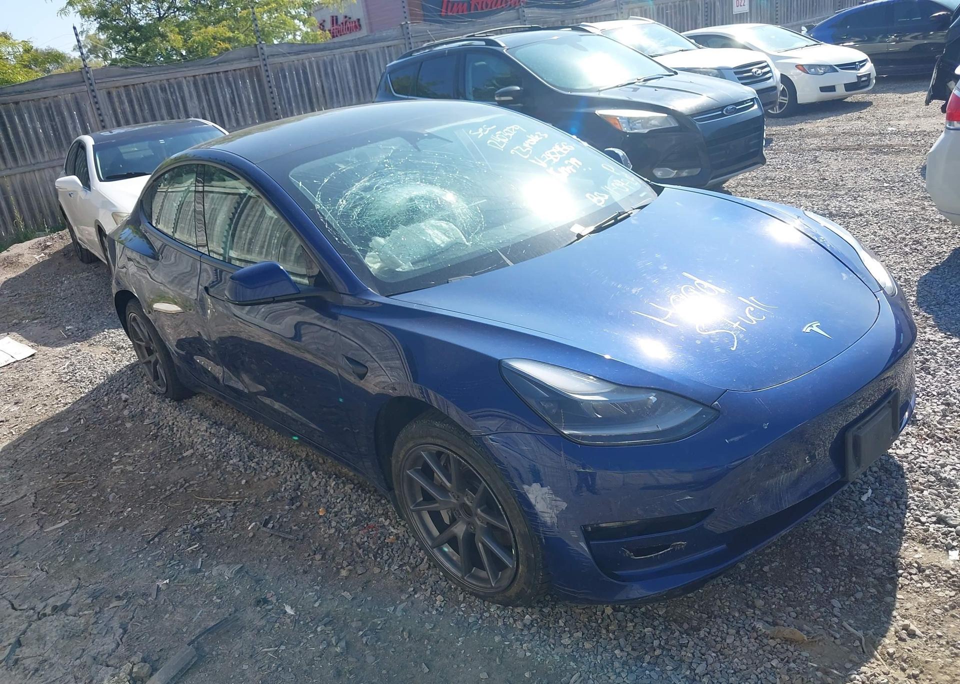 2023 TESLA MODEL 3 RWD
