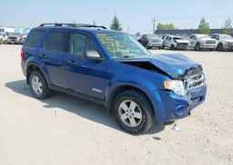 2008 FORD ESCAPE XLT