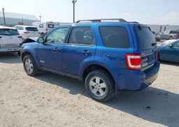2008 FORD ESCAPE XLT