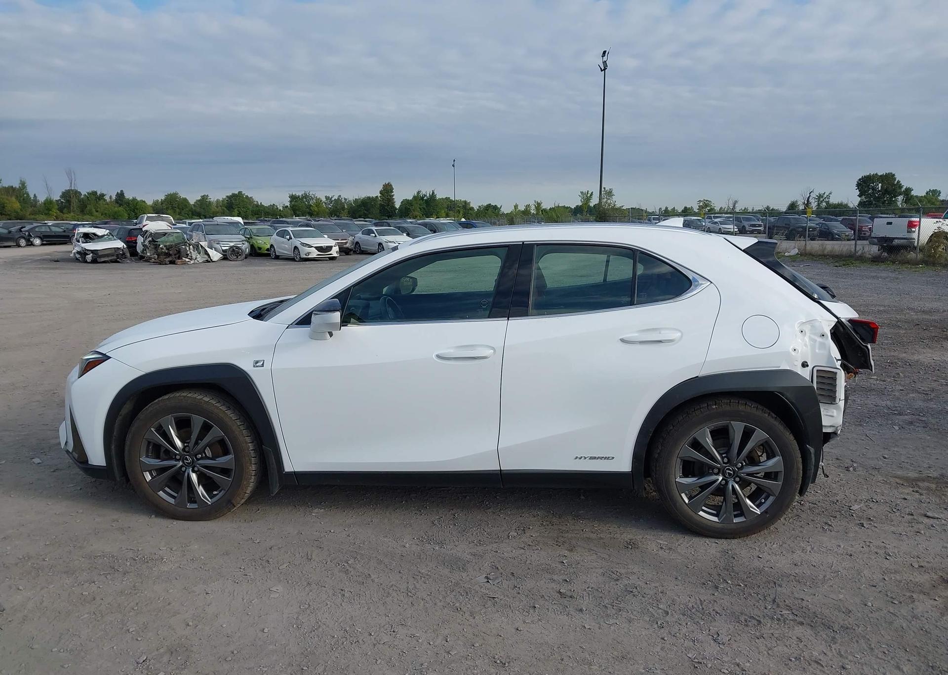 2019 LEXUS UX 250H