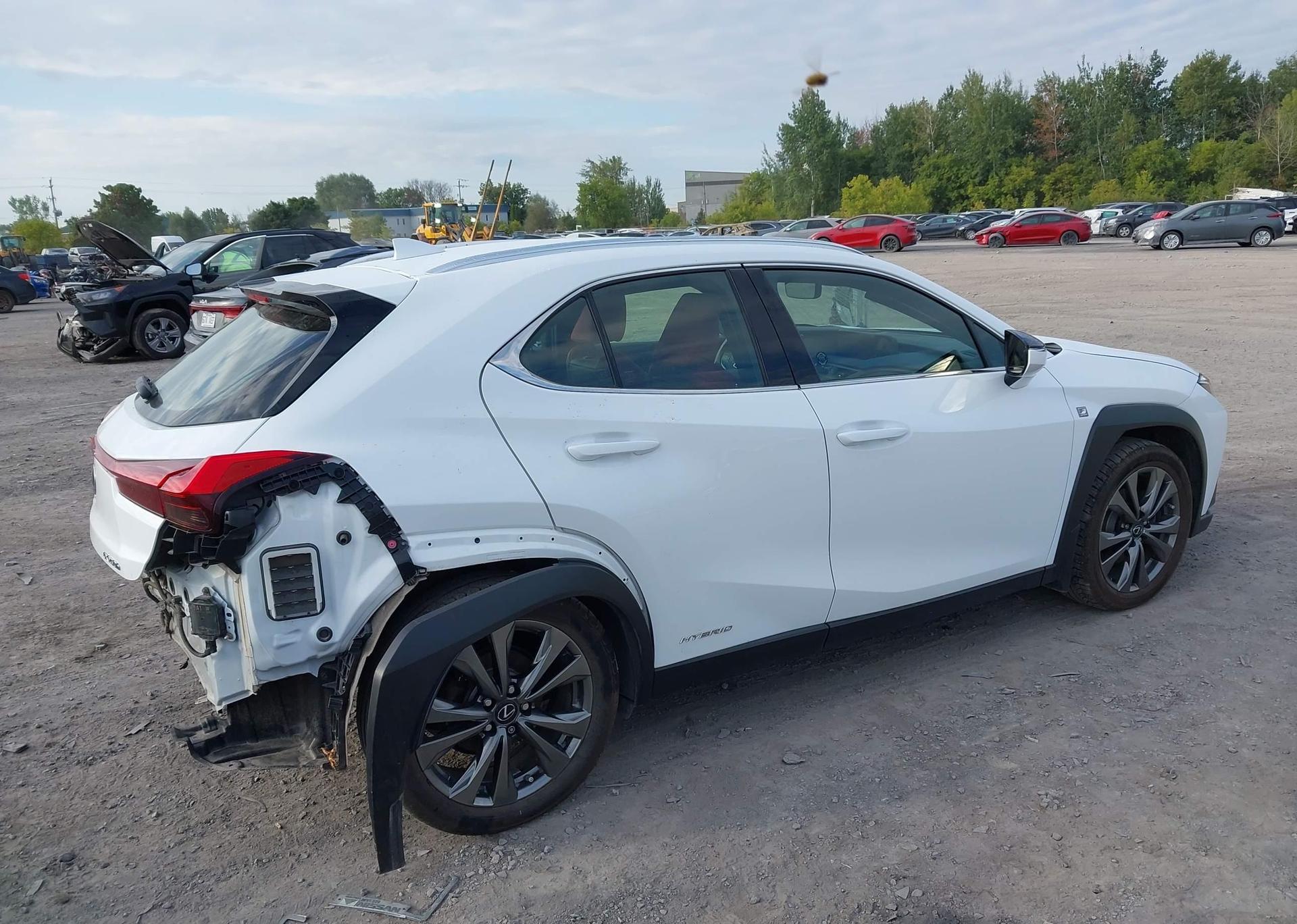 2019 LEXUS UX 250H