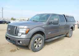 2011 FORD F-150 FX4