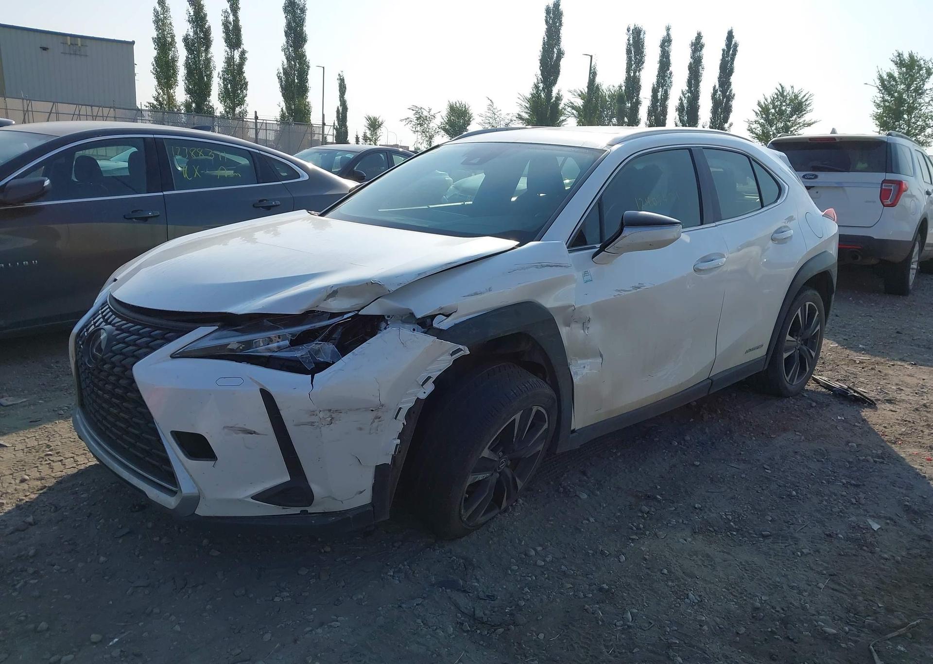 2020 LEXUS UX 250H