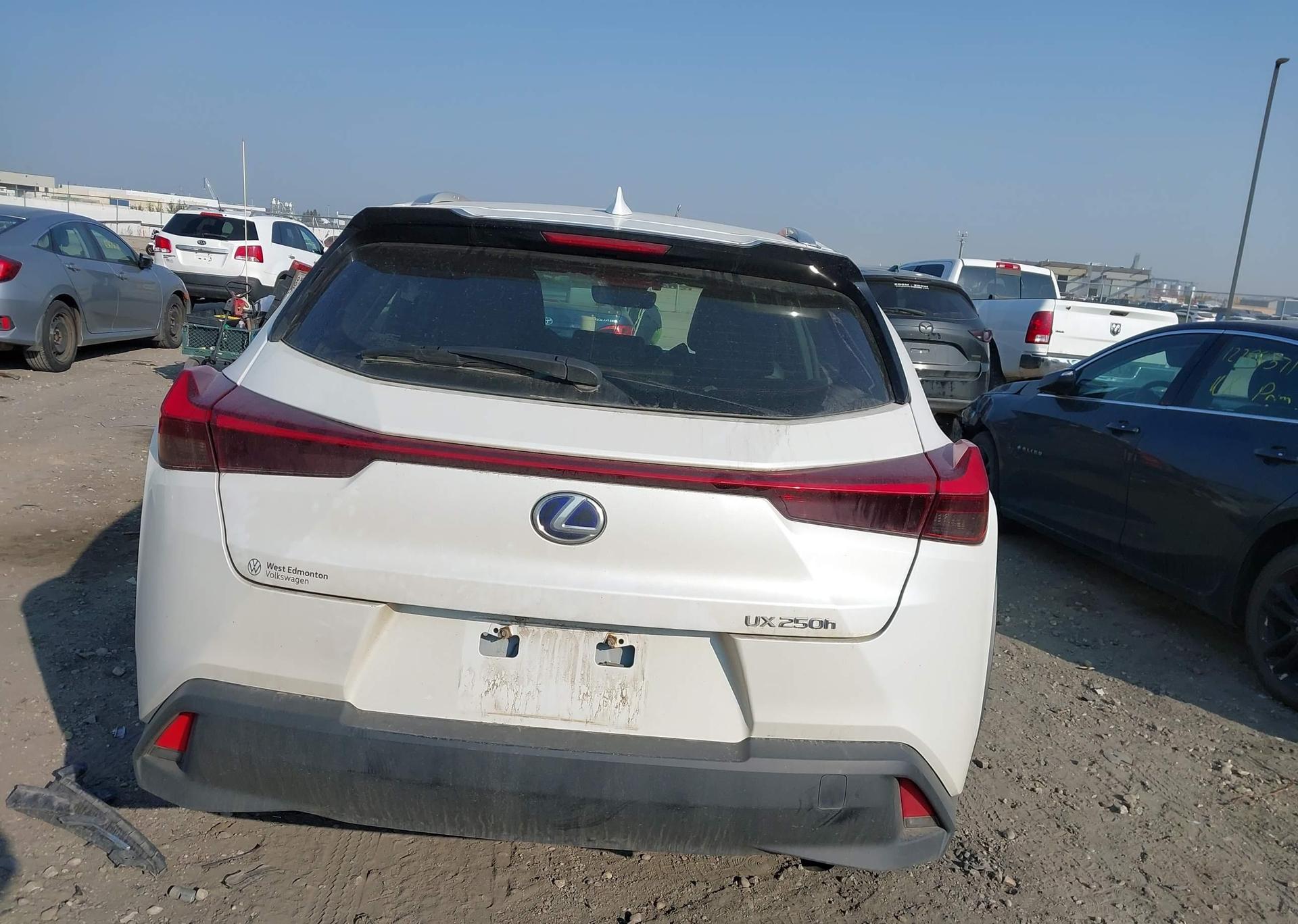 2020 LEXUS UX 250H