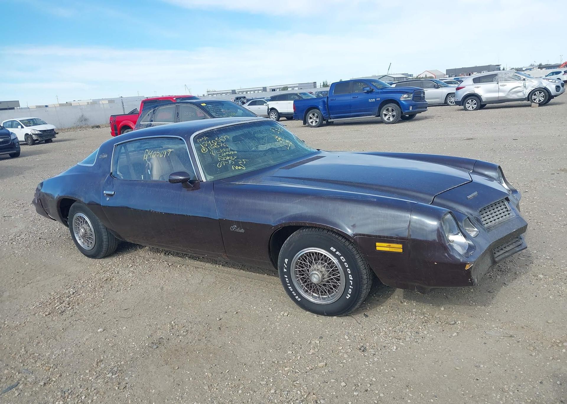 1981 CHEVROLET CAMARO BERLINETTA