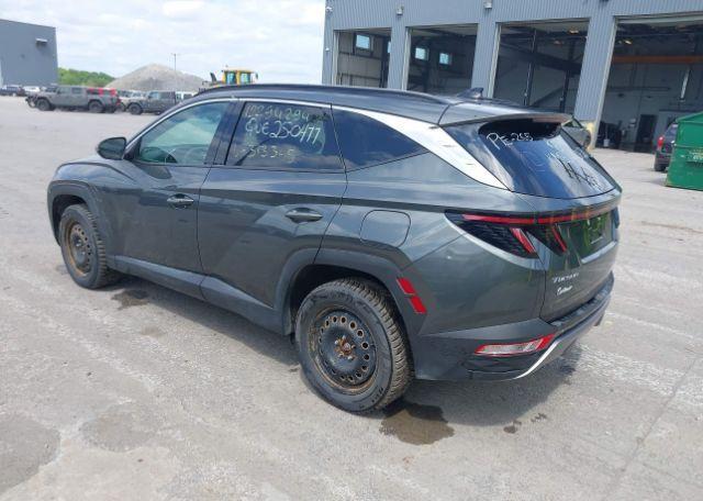 2024 HYUNDAI TUCSON TREND AWD