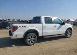 2014 FORD F-150 FX4