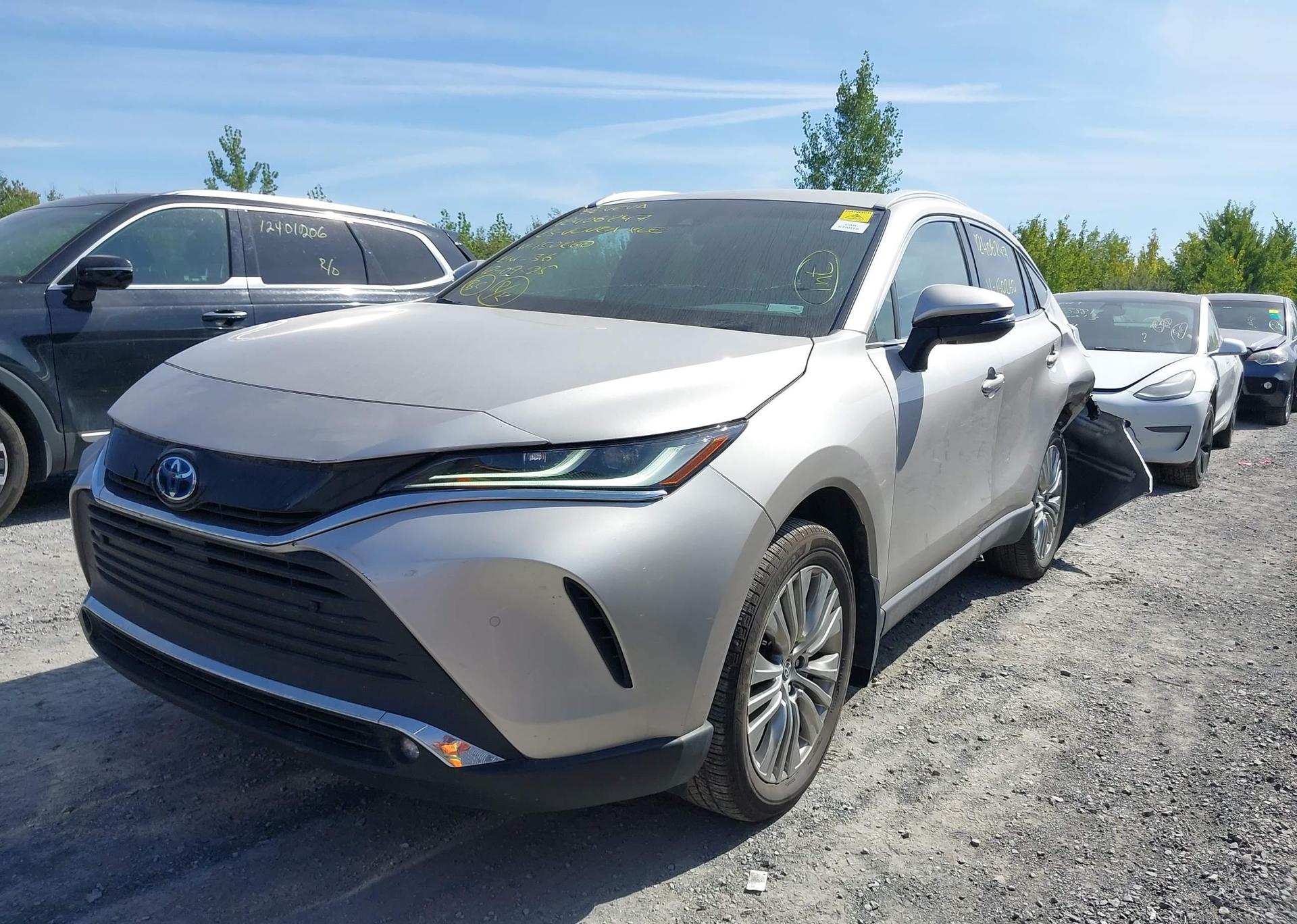 2023 TOYOTA VENZA XLE