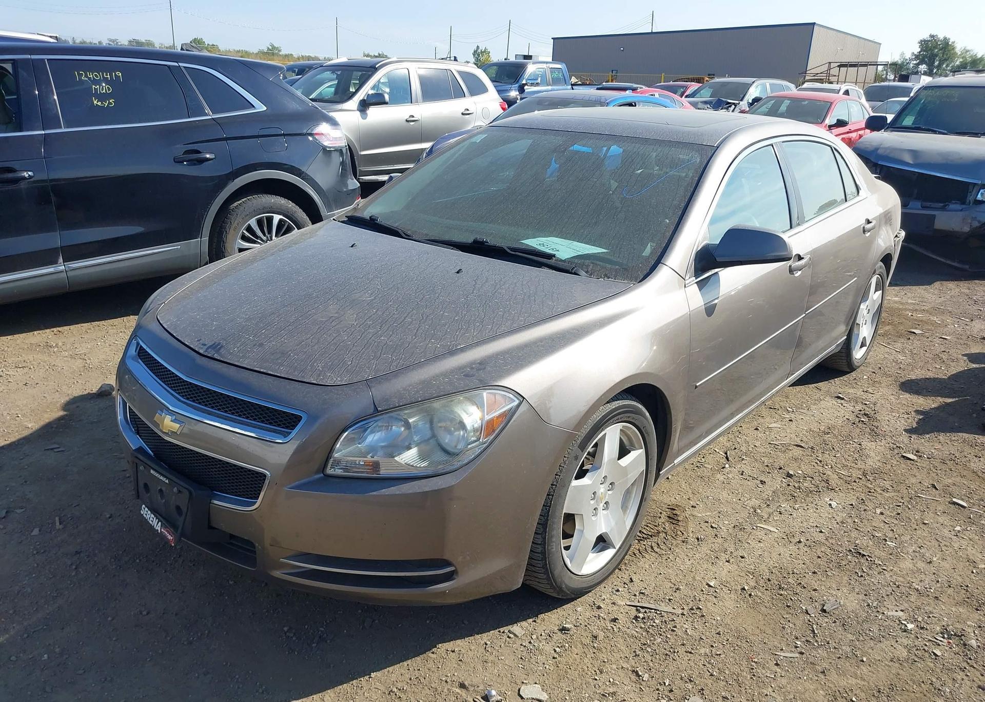 2010 CHEVROLET MALIBU