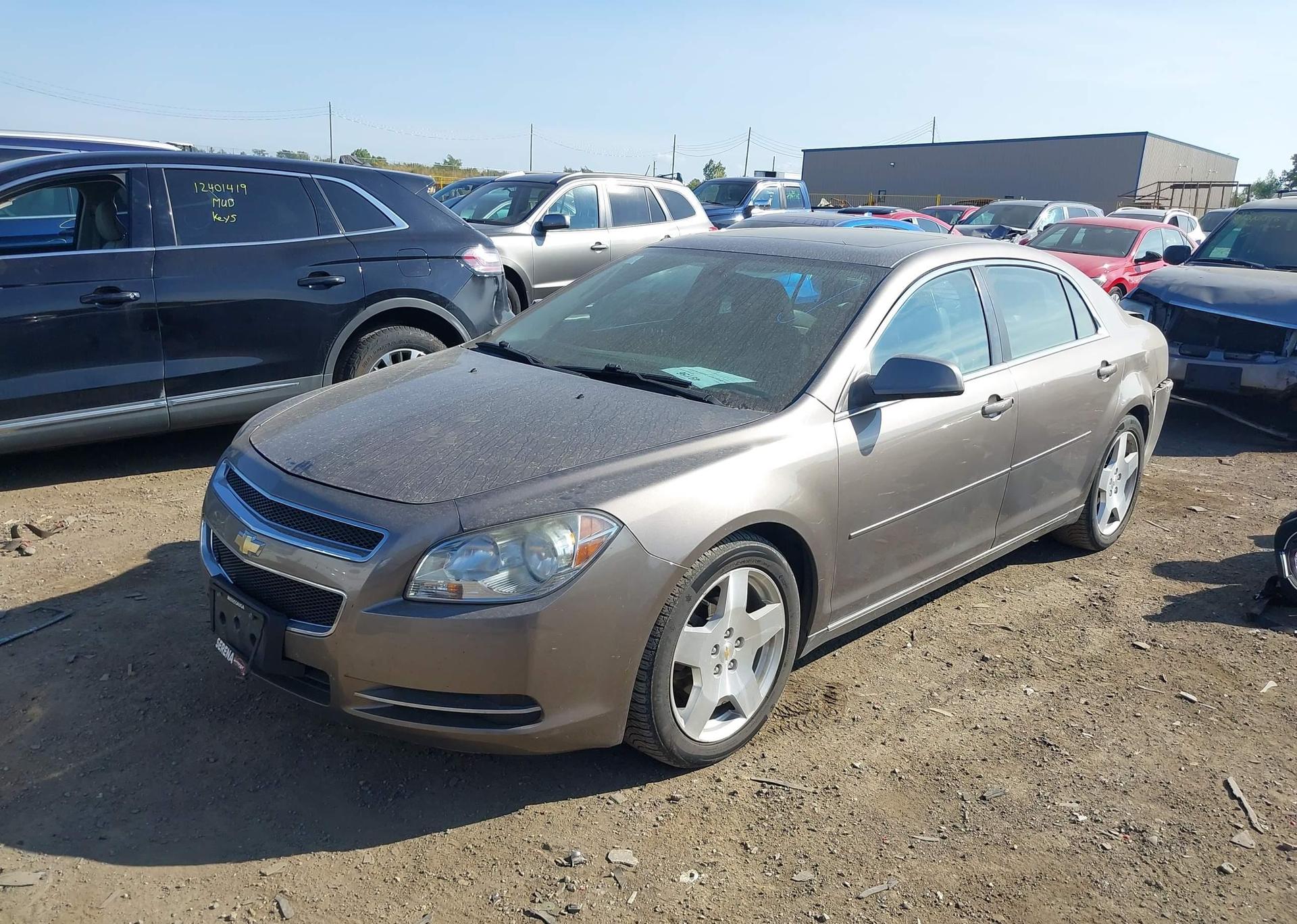 2010 CHEVROLET MALIBU