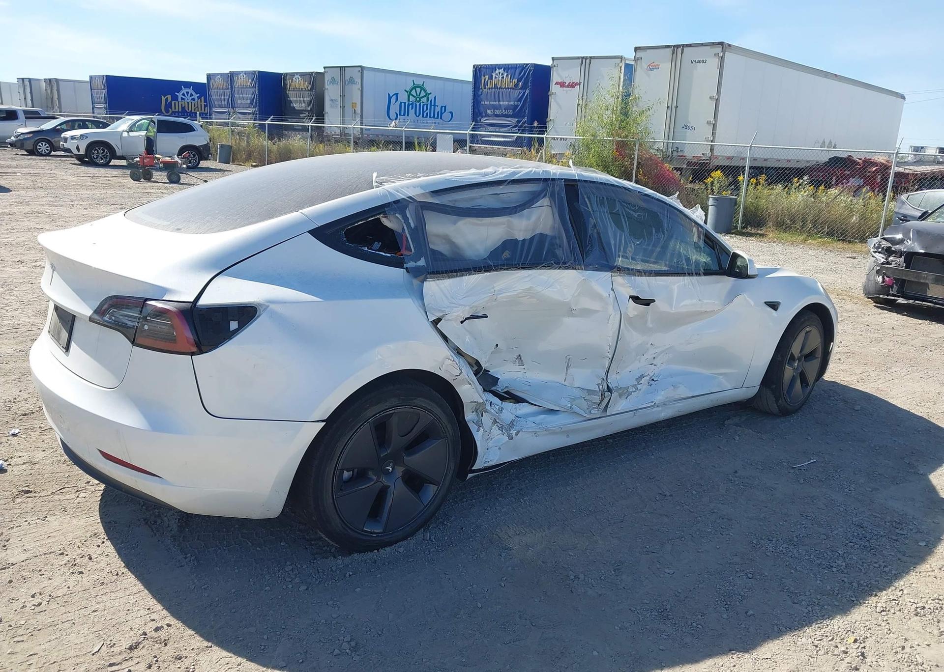 2023 TESLA MODEL 3 RWD