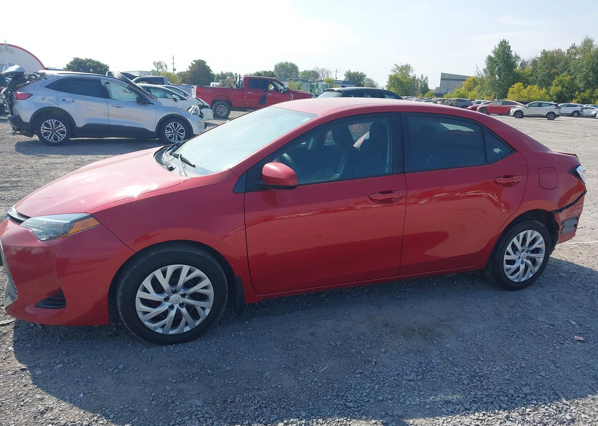 2019 TOYOTA COROLLA LE