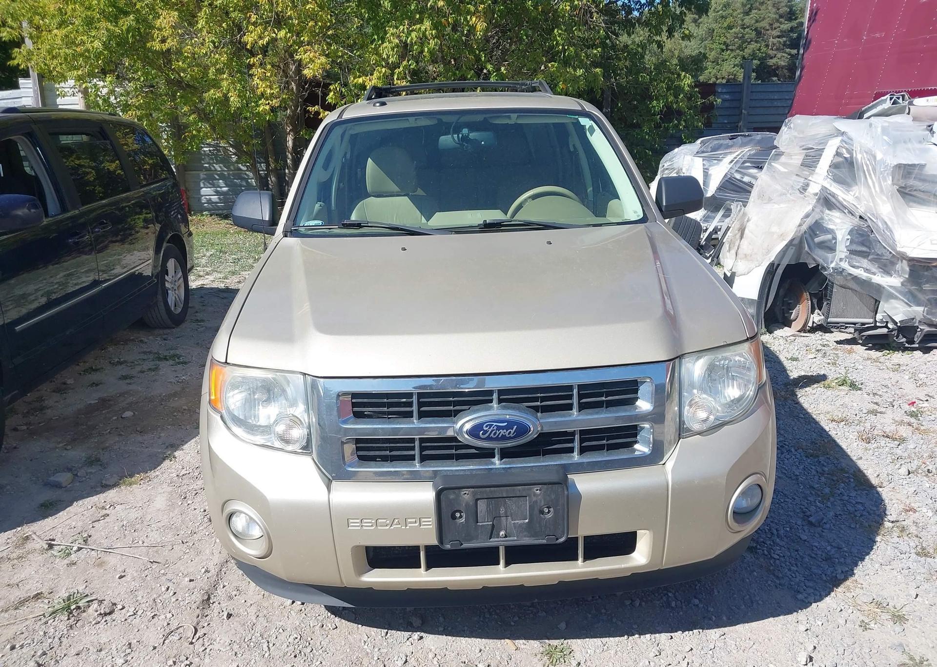 2012 FORD ESCAPE XLT