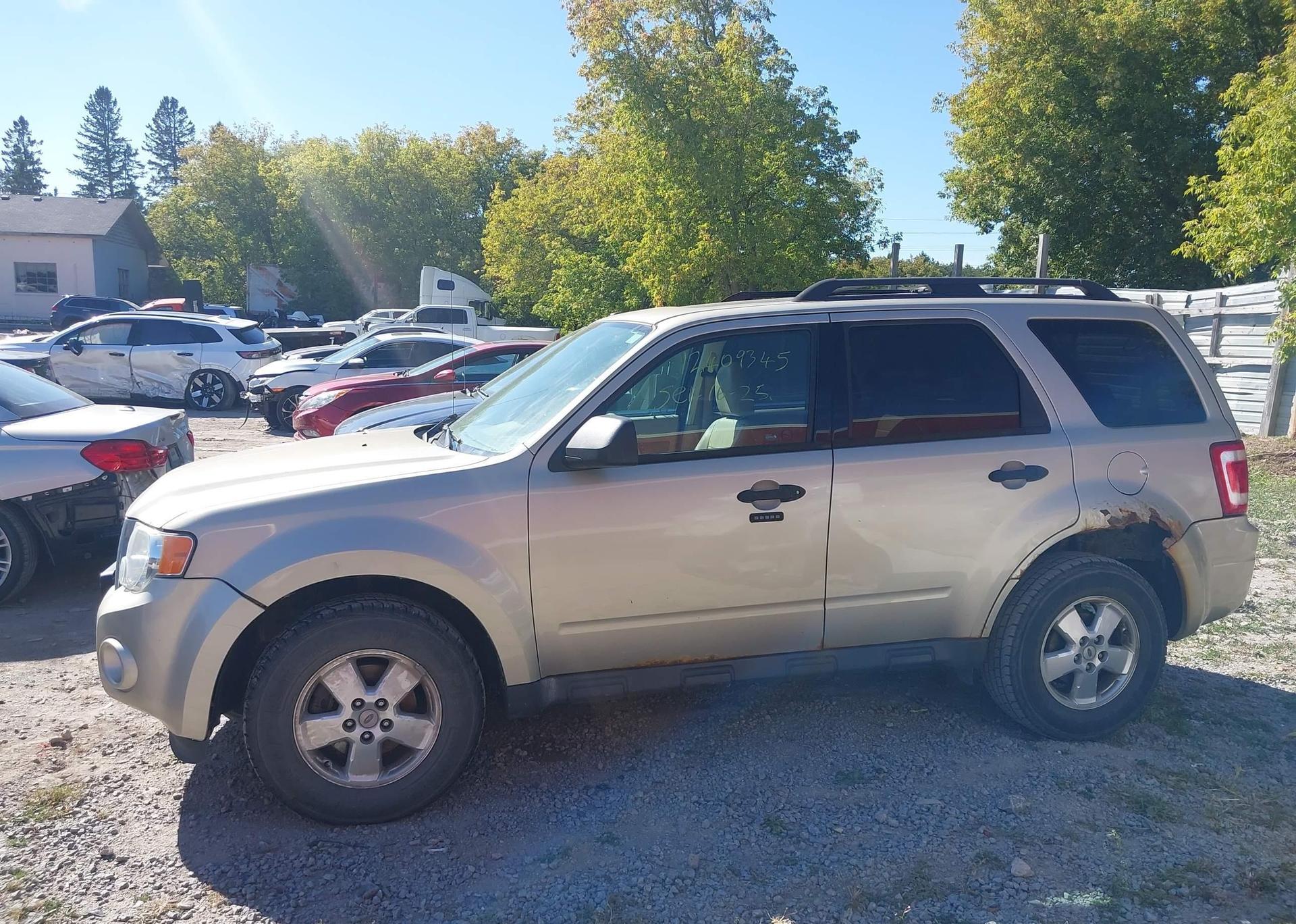 2012 FORD ESCAPE XLT