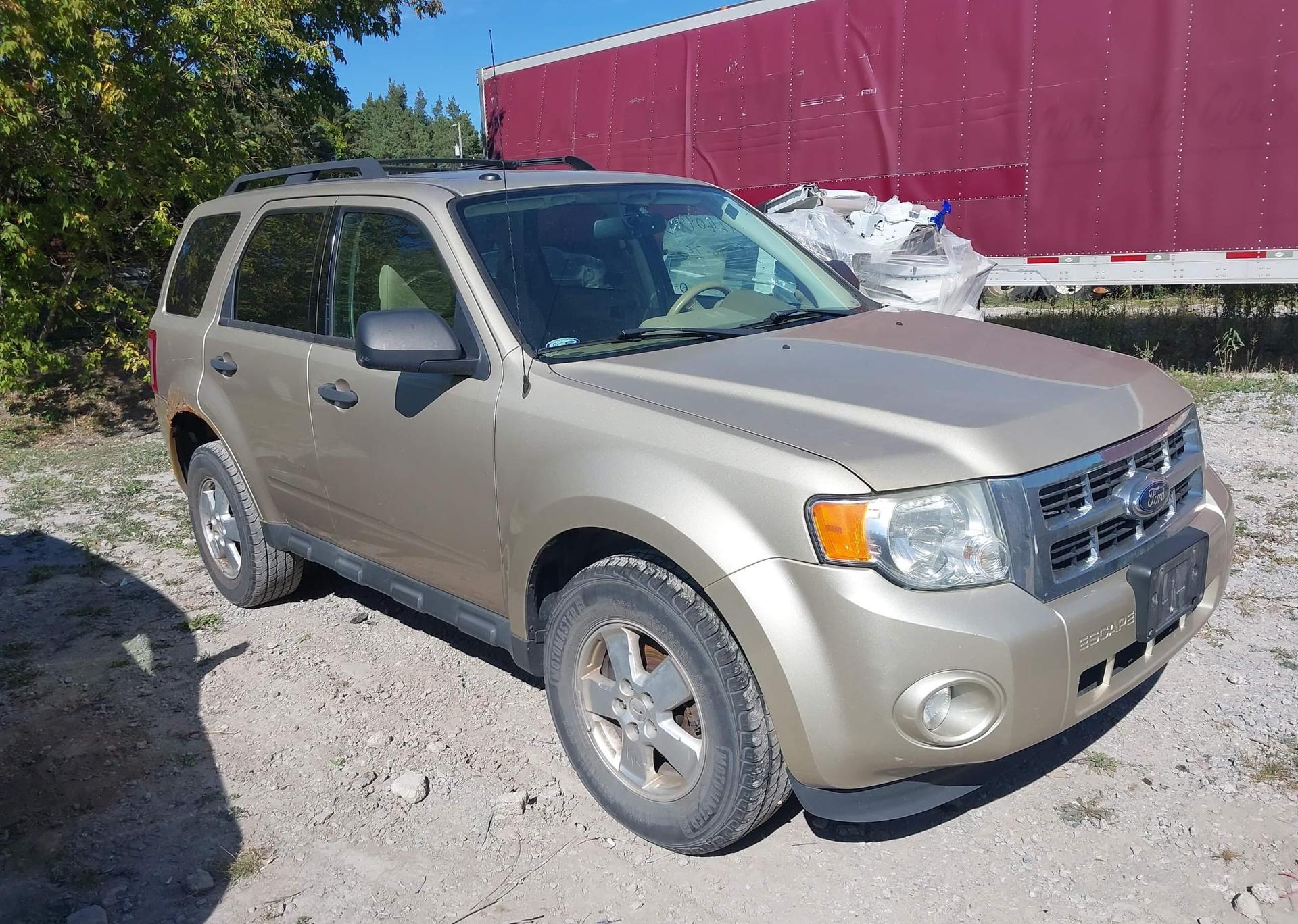 2012 FORD ESCAPE XLT