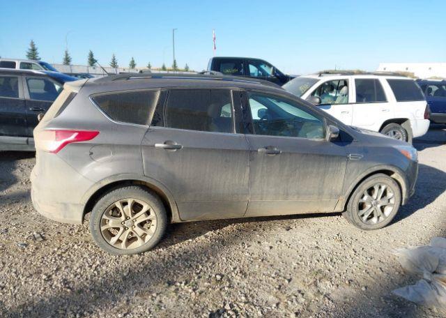 2013 FORD ESCAPE SEL