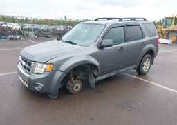 2009 FORD ESCAPE XLT