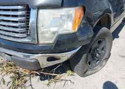 2011 FORD F-150 XLT
