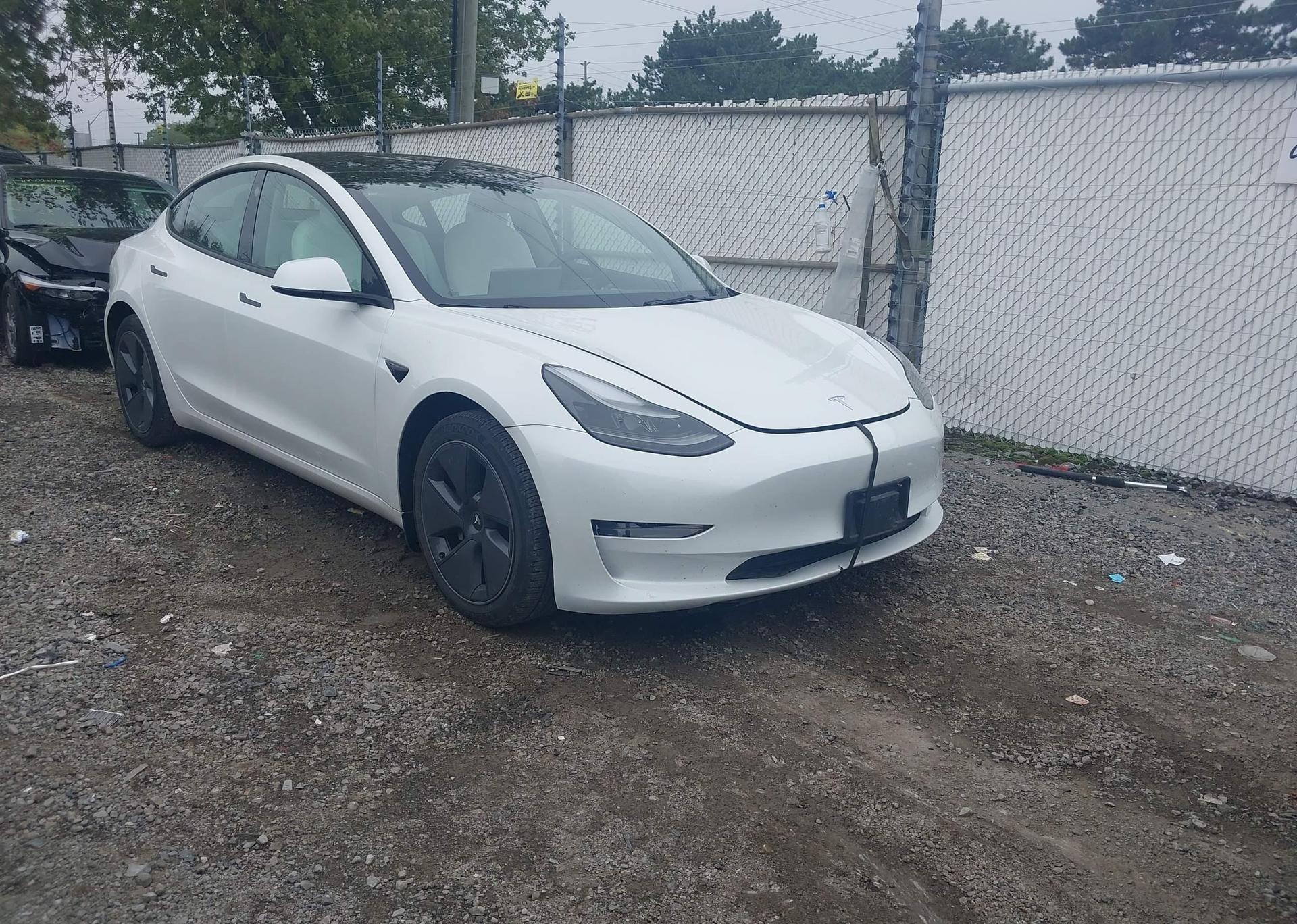 2023 TESLA MODEL 3 RWD