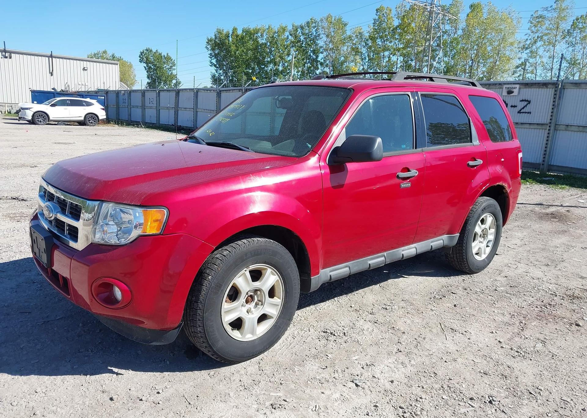 2011 FORD ESCAPE XLT