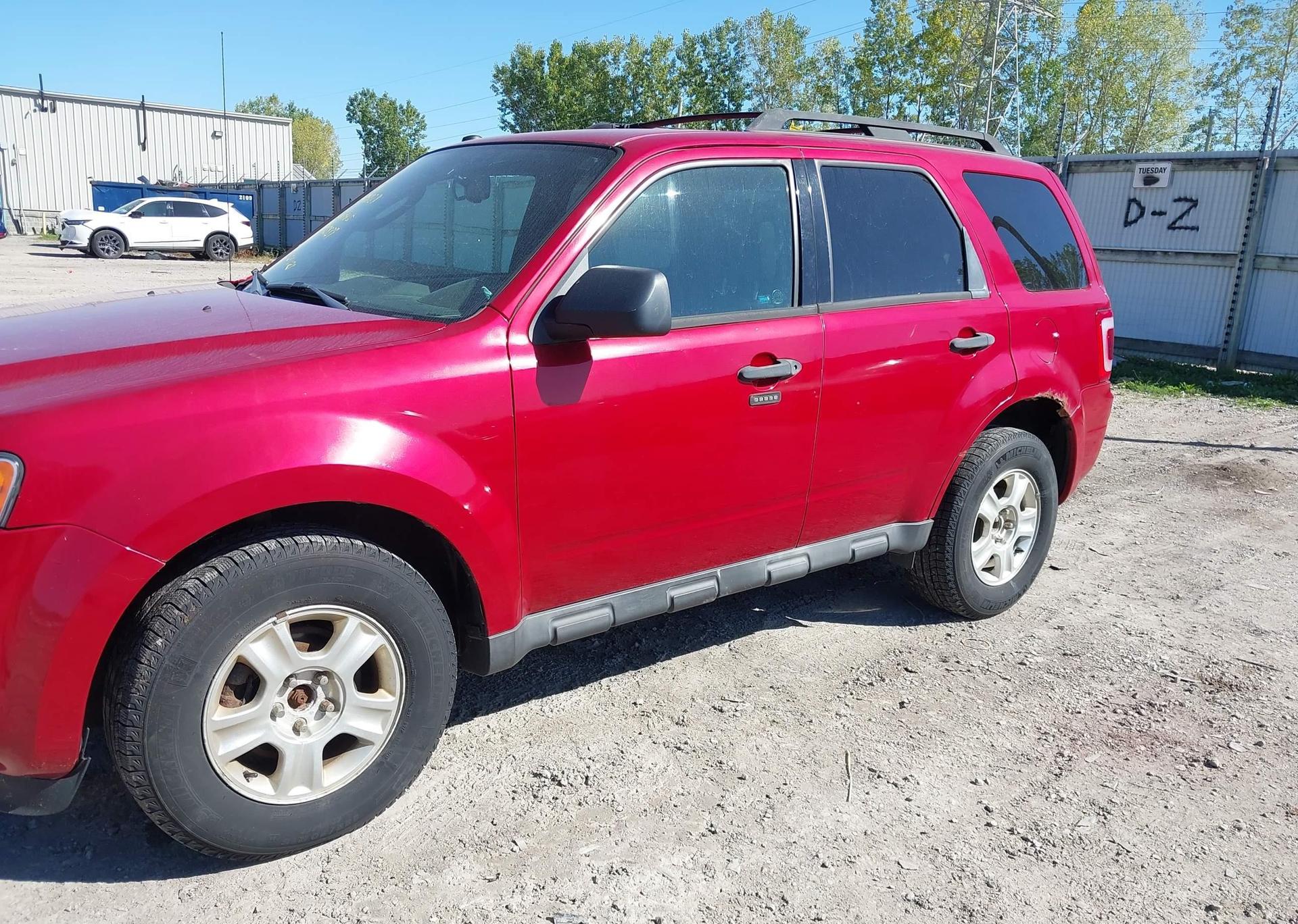 2011 FORD ESCAPE XLT