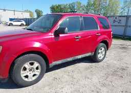 2011 FORD ESCAPE XLT