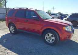 2011 FORD ESCAPE XLT