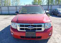 2011 FORD ESCAPE XLT