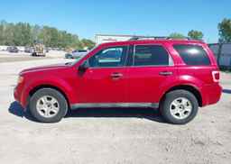 2011 FORD ESCAPE XLT