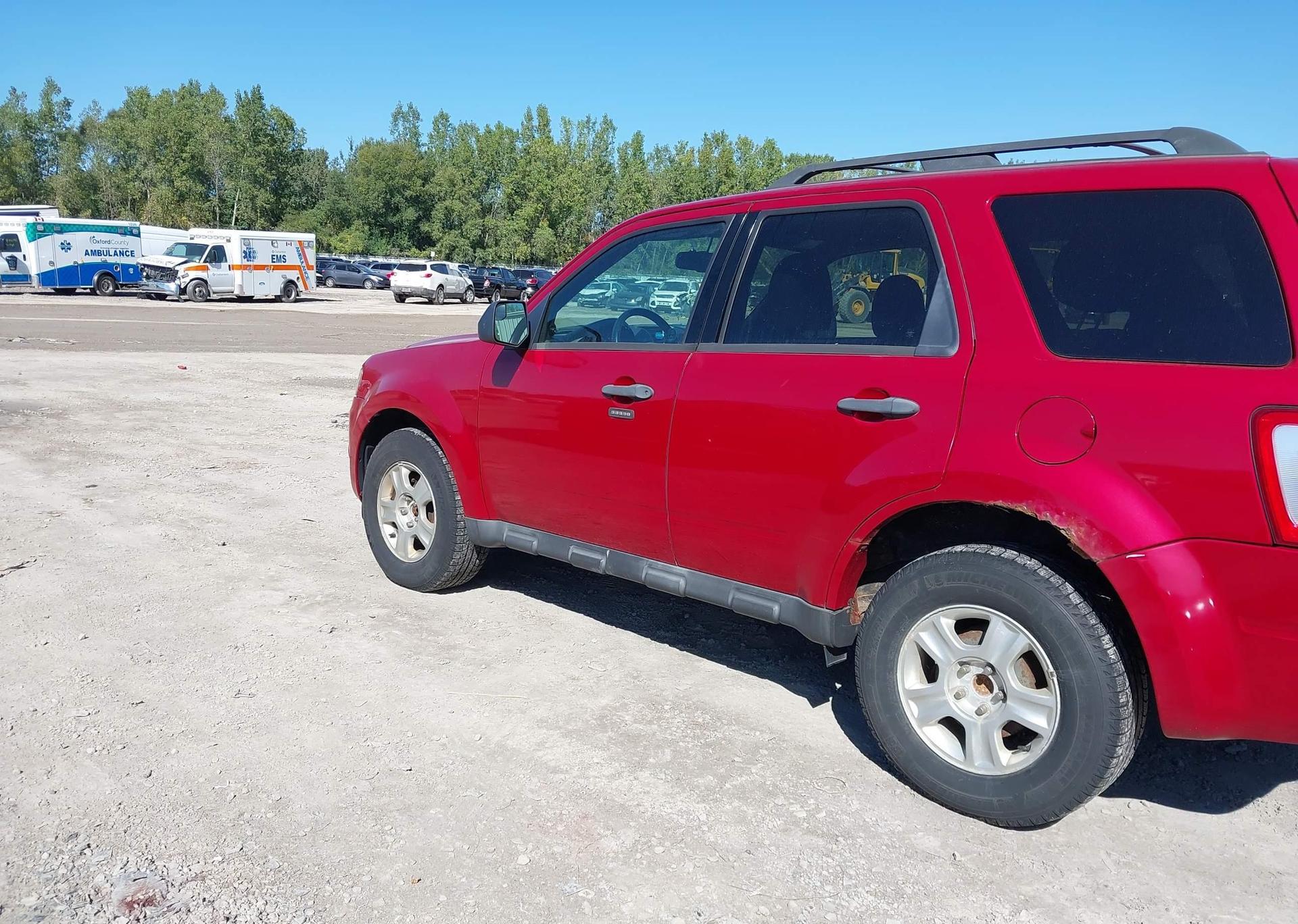 2011 FORD ESCAPE XLT