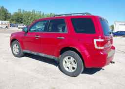 2011 FORD ESCAPE XLT