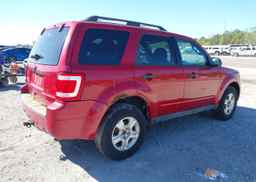 2011 FORD ESCAPE XLT