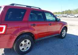 2011 FORD ESCAPE XLT