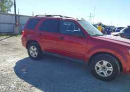 2011 FORD ESCAPE XLT