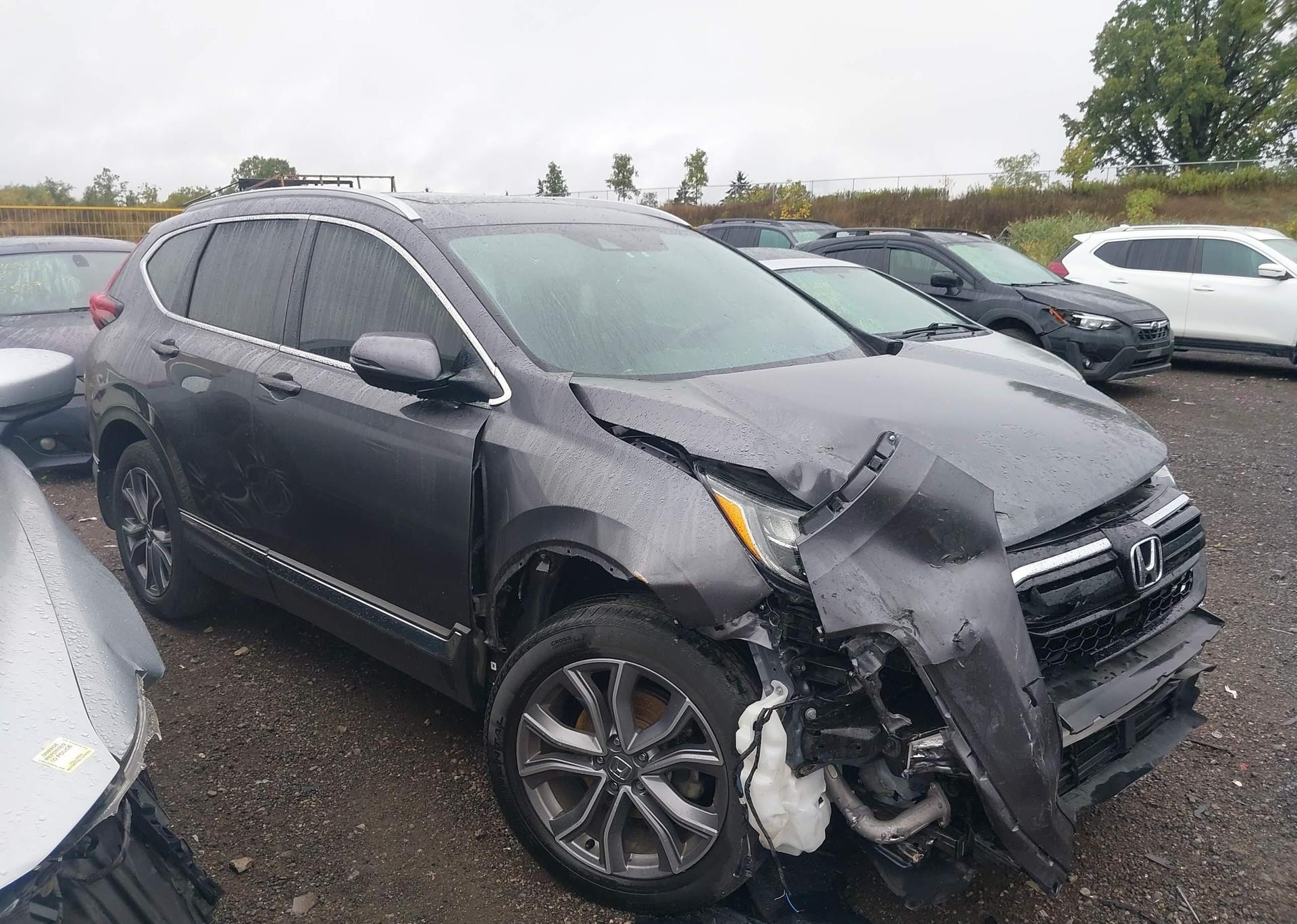 2022 HONDA CR-V BLACK EDITION