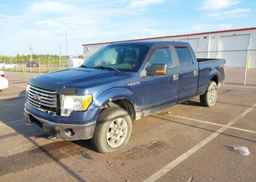 2010 FORD F-150 FX4